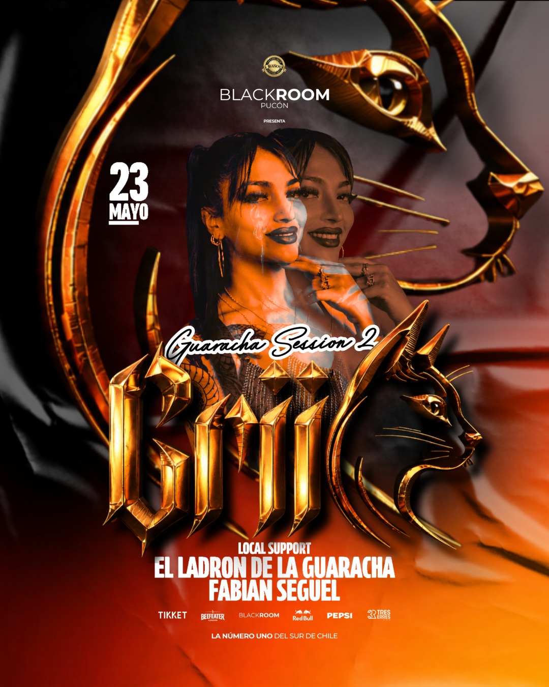 BR GUARACHA VOL2